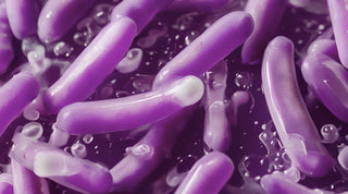 How to Improve Your Microbiome (And Why It Matters for Your Skin)