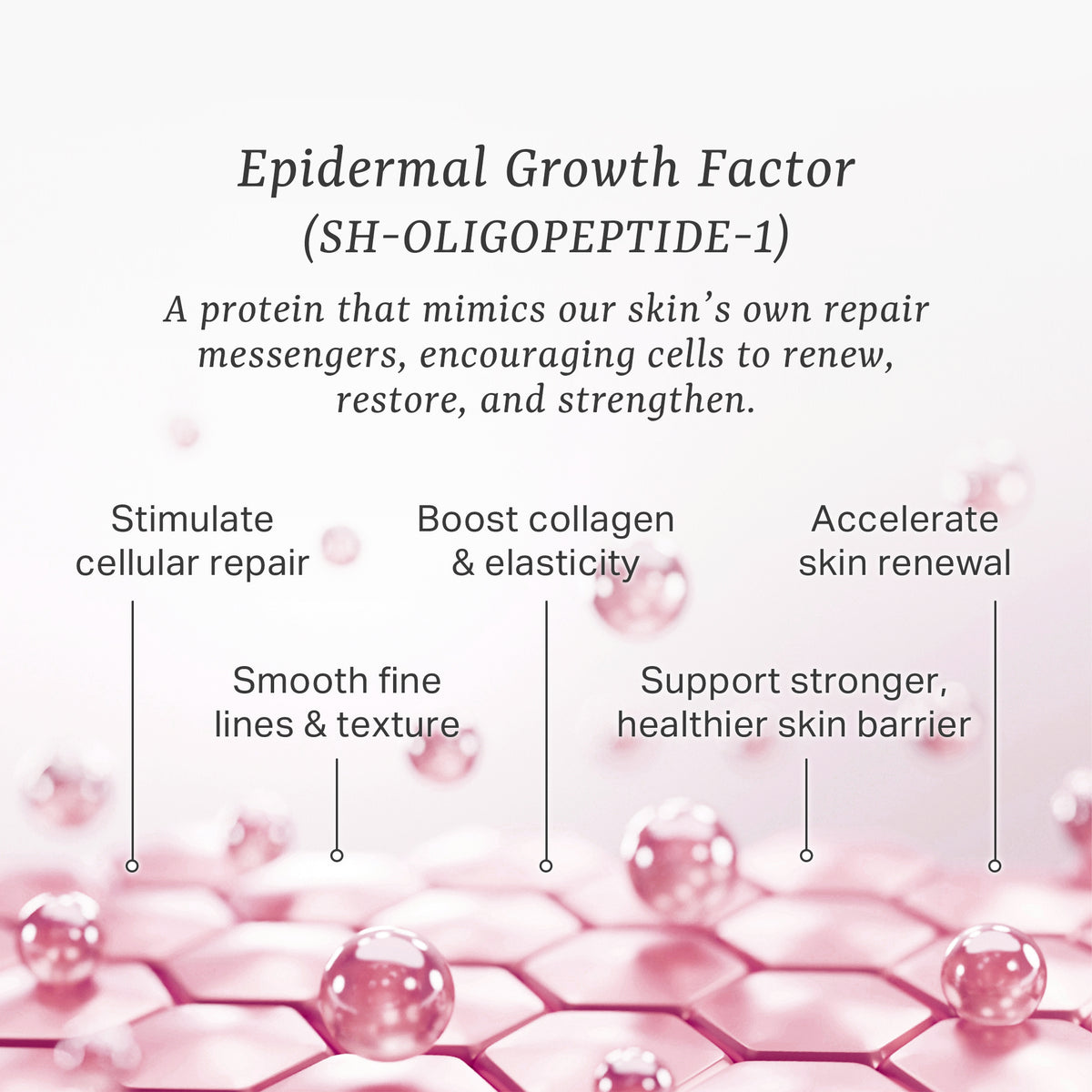 EGF Cellular Repair Serum 50ml