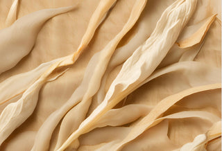 Panax Ginseng Root Ferment Filtrate